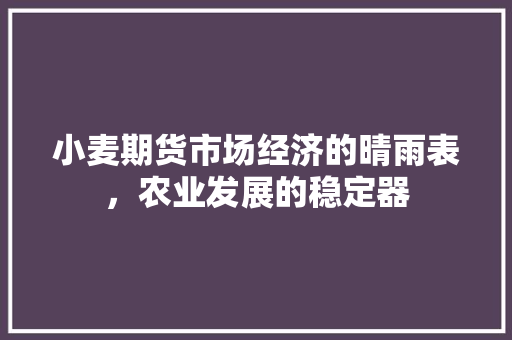 小麦期货市场经济的晴雨表，农业发展的稳定器