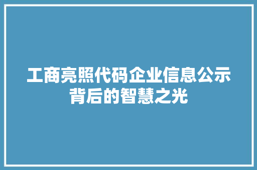 工商亮照代码企业信息公示背后的智慧之光