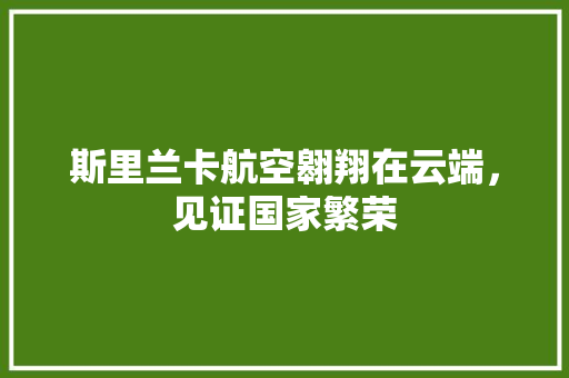 斯里兰卡航空翱翔在云端，见证国家繁荣