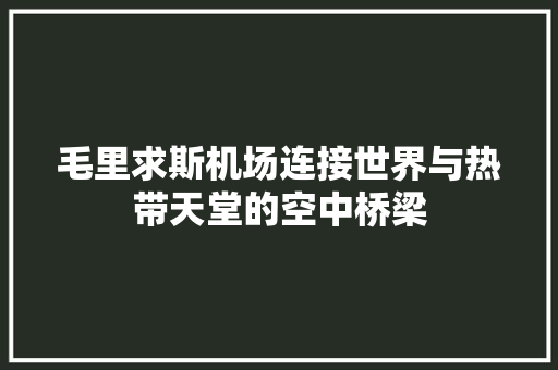 毛里求斯机场连接世界与热带天堂的空中桥梁