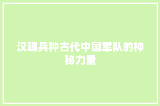 汉魂兵种古代中国军队的神秘力量