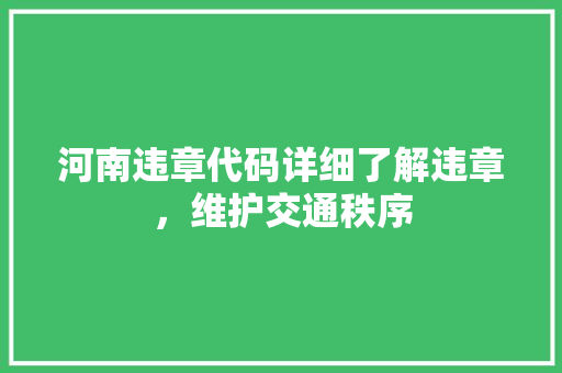 河南违章代码详细了解违章，维护交通秩序