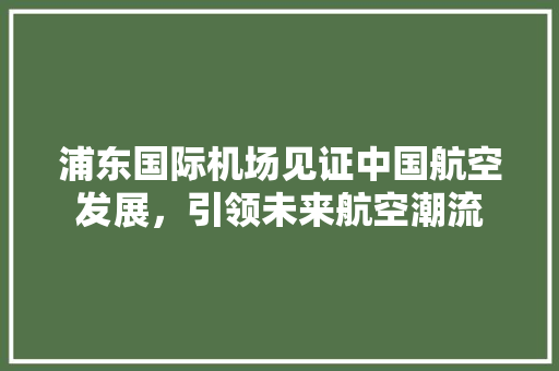 浦东国际机场见证中国航空发展，引领未来航空潮流