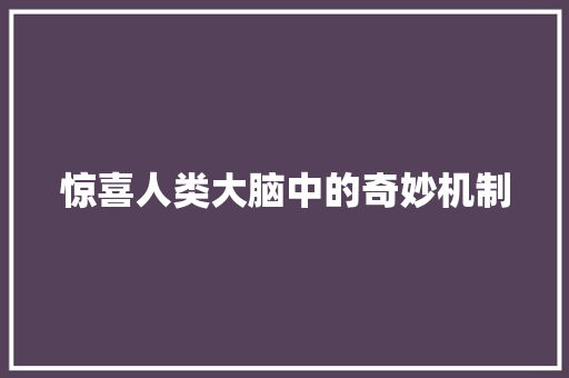 惊喜人类大脑中的奇妙机制