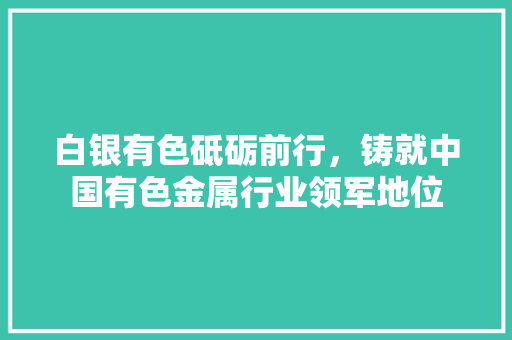 白银有色砥砺前行，铸就中国有色金属行业领军地位