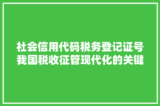社会信用代码税务登记证号我国税收征管现代化的关键一环
