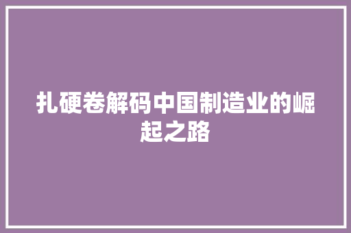 扎硬卷解码中国制造业的崛起之路