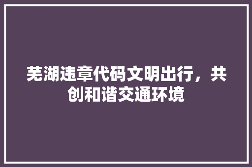 芜湖违章代码文明出行，共创和谐交通环境
