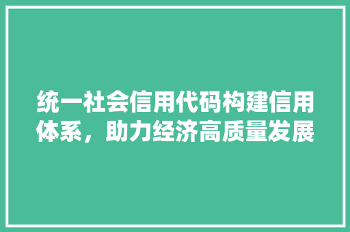 统一社会信用代码构建信用体系，助力经济高质量发展