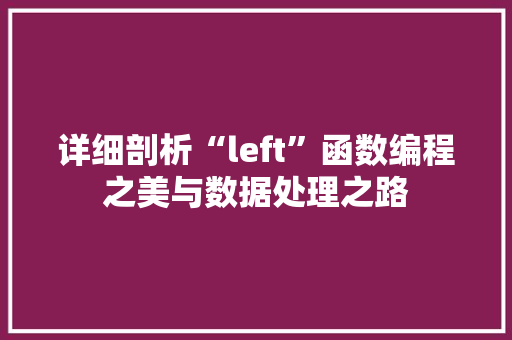 详细剖析“left”函数编程之美与数据处理之路