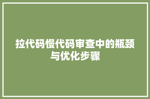 拉代码慢代码审查中的瓶颈与优化步骤