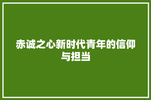 赤诚之心新时代青年的信仰与担当