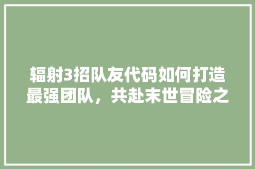 辐射3招队友代码如何打造最强团队，共赴末世冒险之旅
