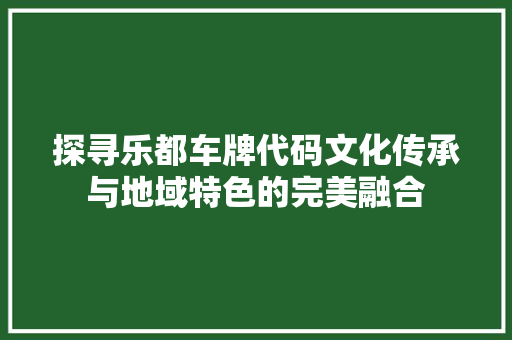 探寻乐都车牌代码文化传承与地域特色的完美融合