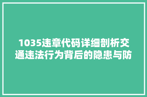 1035违章代码详细剖析交通违法行为背后的隐患与防范