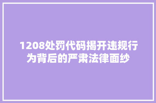 1208处罚代码揭开违规行为背后的严肃法律面纱