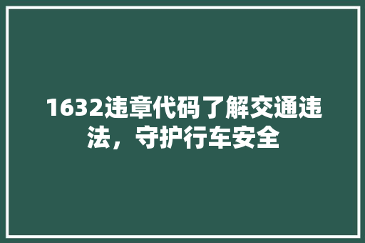 1632违章代码了解交通违法，守护行车安全