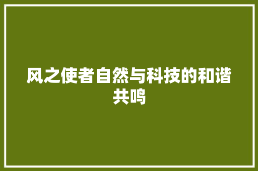 风之使者自然与科技的和谐共鸣
