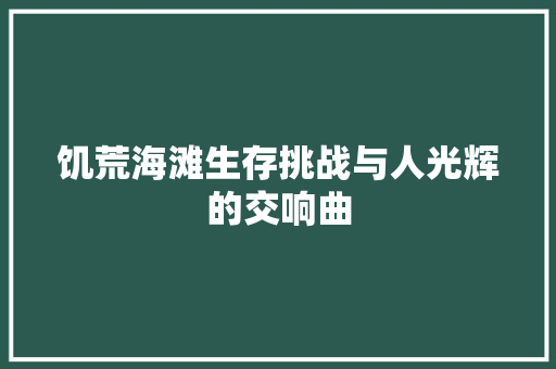 饥荒海滩生存挑战与人光辉的交响曲