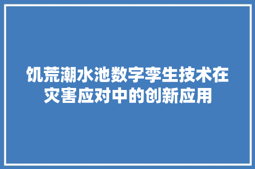 饥荒潮水池数字孪生技术在灾害应对中的创新应用
