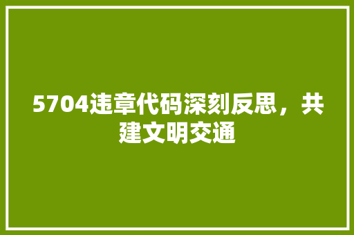 5704违章代码深刻反思，共建文明交通