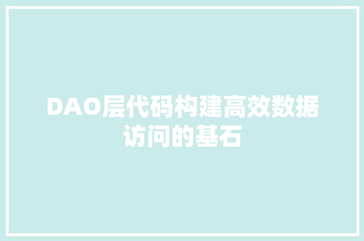 DAO层代码构建高效数据访问的基石