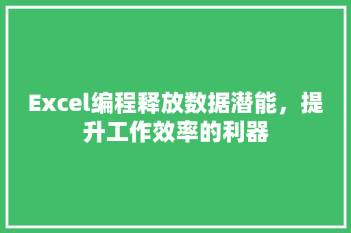 Excel编程释放数据潜能，提升工作效率的利器
