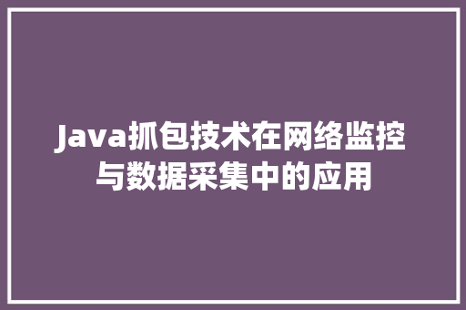 Java抓包技术在网络监控与数据采集中的应用