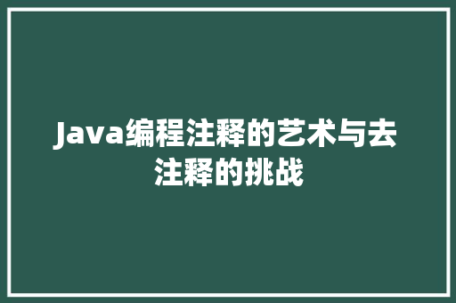 Java编程注释的艺术与去注释的挑战