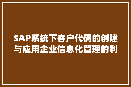 SAP系统下客户代码的创建与应用企业信息化管理的利器