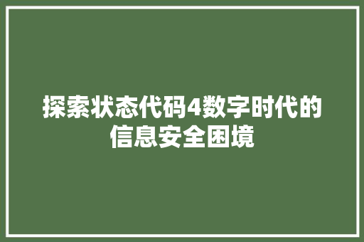 探索状态代码4数字时代的信息安全困境