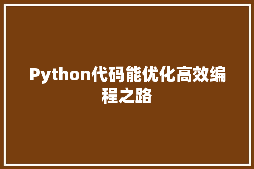 Python代码能优化高效编程之路