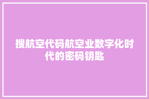 搜航空代码航空业数字化时代的密码钥匙