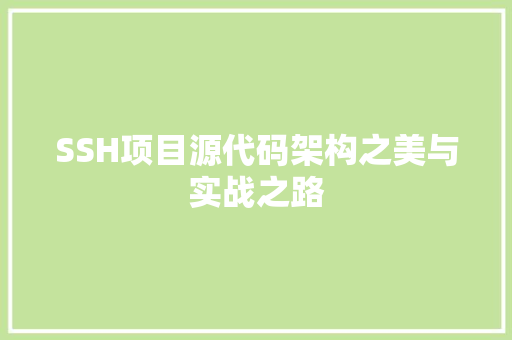 SSH项目源代码架构之美与实战之路