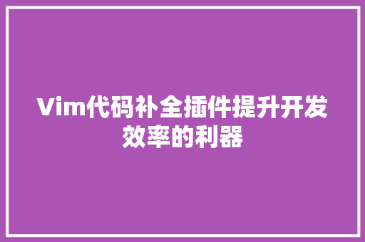 Vim代码补全插件提升开发效率的利器