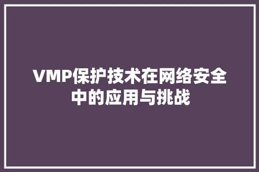 VMP保护技术在网络安全中的应用与挑战