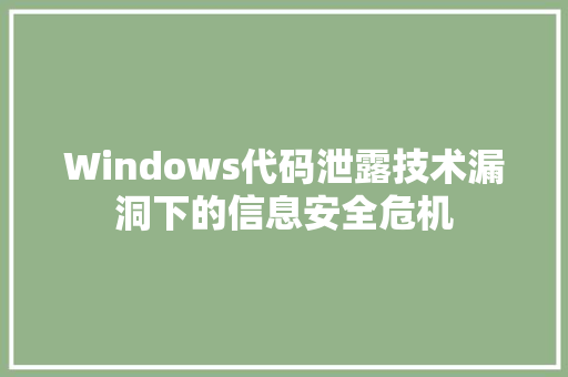 Windows代码泄露技术漏洞下的信息安全危机