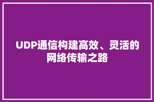 UDP通信构建高效、灵活的网络传输之路