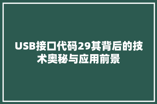 USB接口代码29其背后的技术奥秘与应用前景