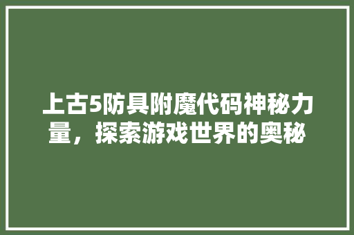 上古5防具附魔代码神秘力量，探索游戏世界的奥秘