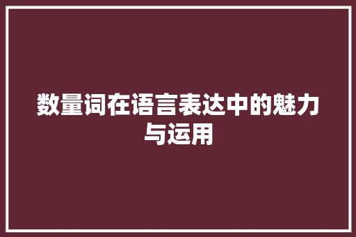 数量词在语言表达中的魅力与运用