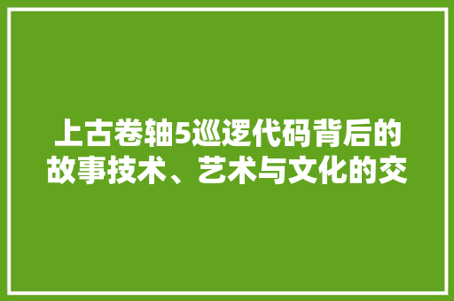 上古卷轴5巡逻代码背后的故事技术、艺术与文化的交织  第1张