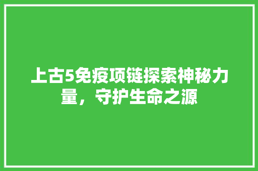 上古5免疫项链探索神秘力量，守护生命之源