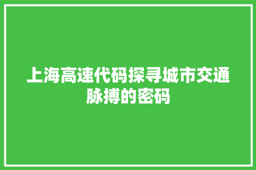 上海高速代码探寻城市交通脉搏的密码