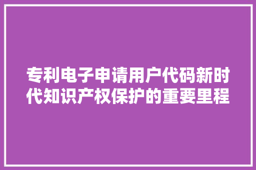 专利电子申请用户代码新时代知识产权保护的重要里程碑  第1张
