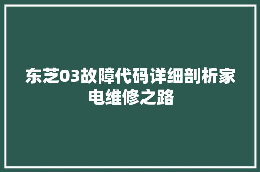 东芝03故障代码详细剖析家电维修之路