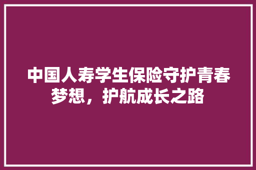 中国人寿学生保险守护青春梦想，护航成长之路