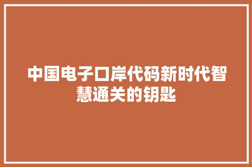 中国电子口岸代码新时代智慧通关的钥匙