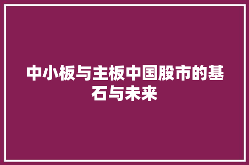 中小板与主板中国股市的基石与未来  第1张