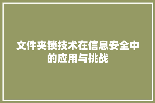 文件夹锁技术在信息安全中的应用与挑战